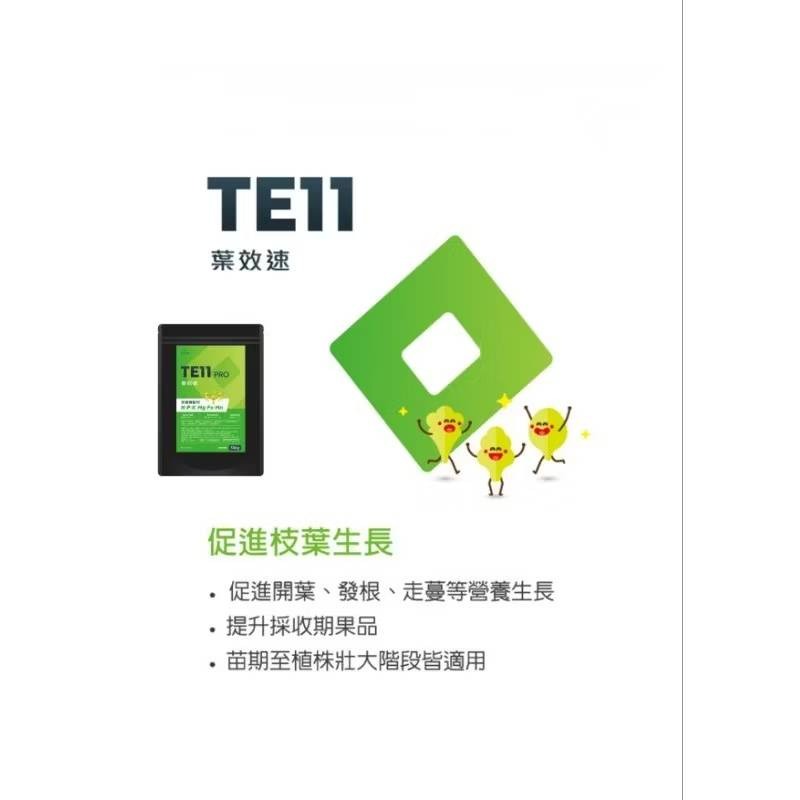 園藝 粉末水溶肥 即溶肥 不同成分可選 500g 花果葉片 氮 磷 鉀 鈣 硼 微量元素-細節圖6