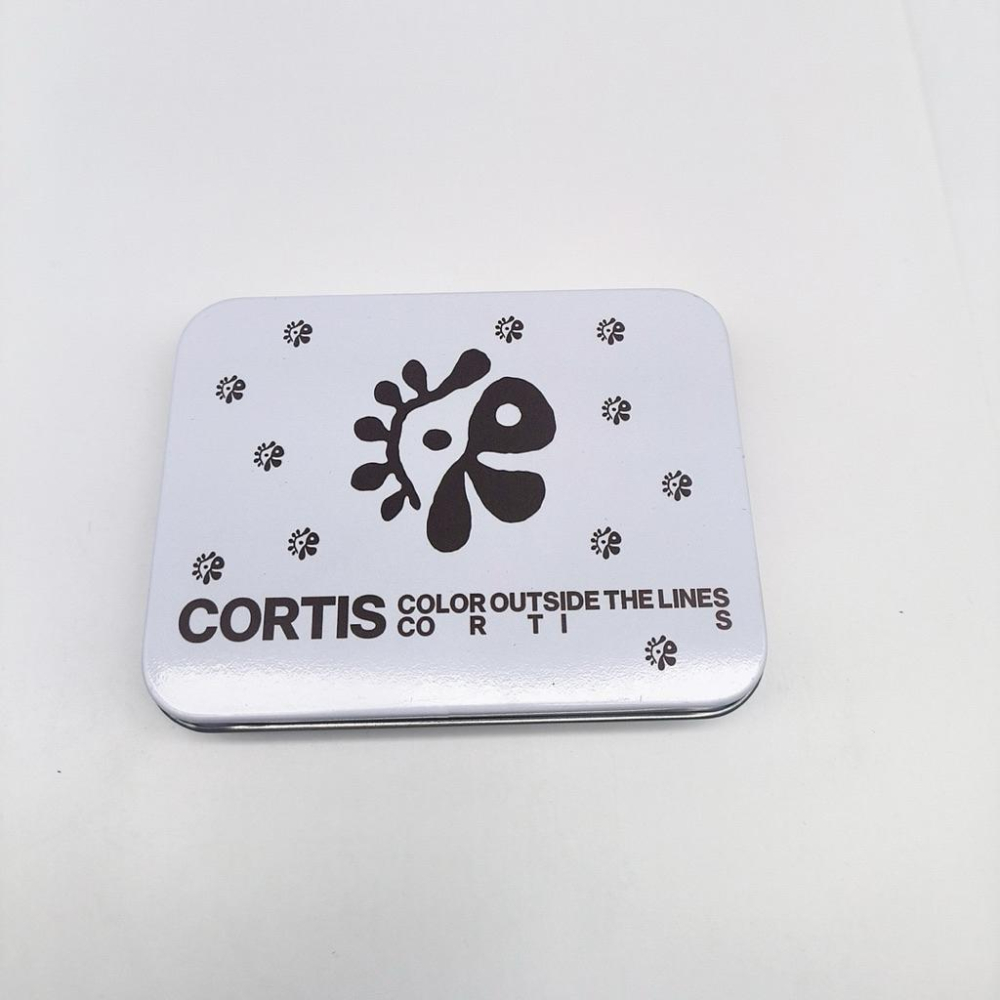 隔日到貨🎀Cortis 鐵盒 小卡收納 Kpop 週邊 應援 趙雨凡 安乾鎬-細節圖5