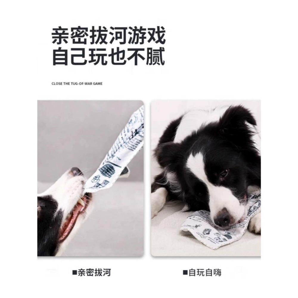多咪多 報紙 寵物響紙玩具 報紙玩具 寵物撕咬玩具 聞嗅耐咬玩具 響紙玩具 貓狗玩具 響紙玩具 狗玩具-細節圖3