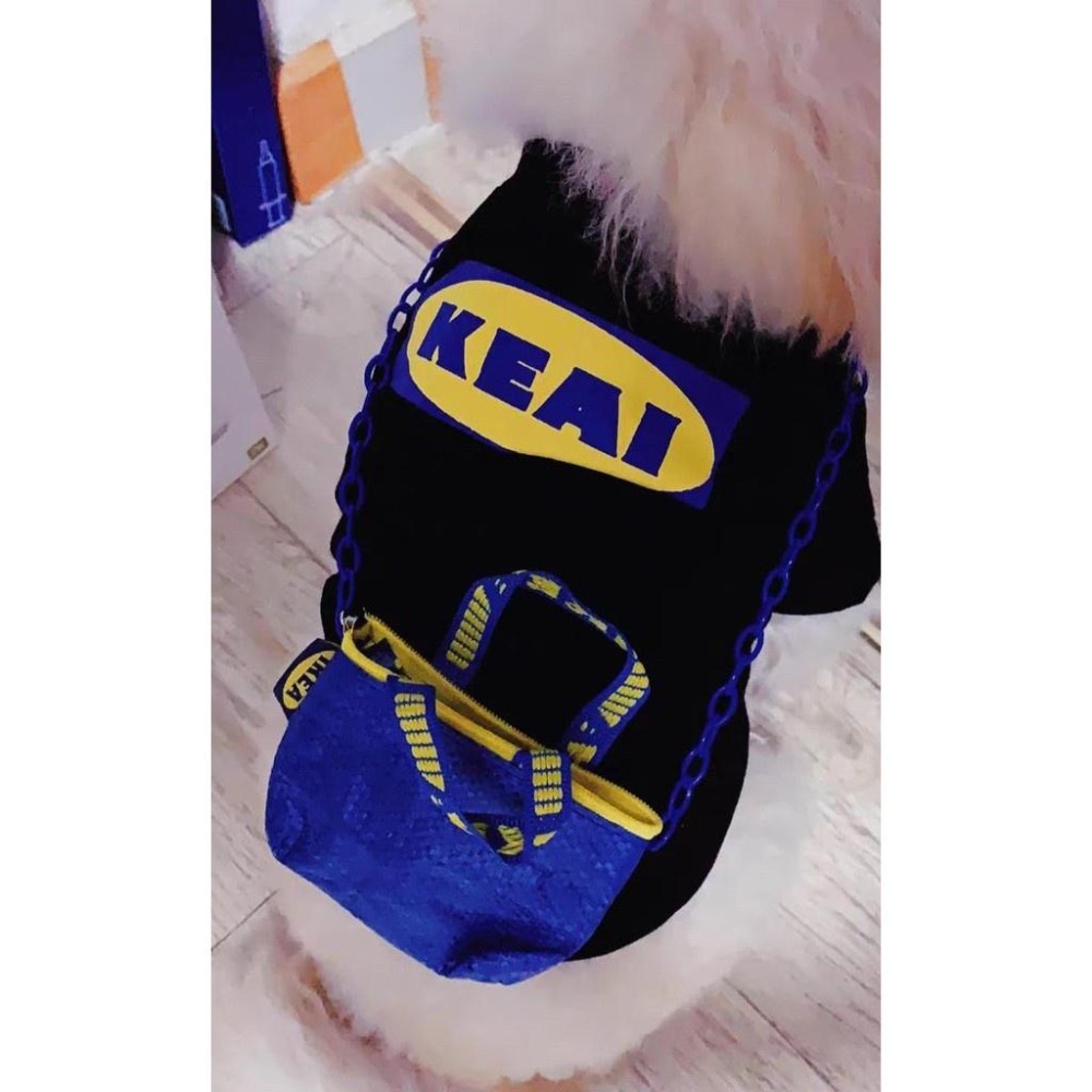 多咪多 現貨 附小斜背包 KEAI可愛寵物衣 KEAI 寵物衣服 貓衣服 狗衣服 寵物服飾 貓咪衣服  寵物保暖-細節圖2
