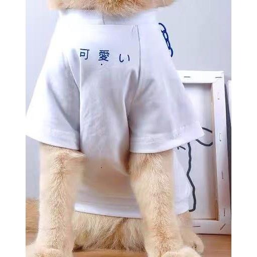 多咪多 現貨 附小斜背包 KEAI可愛寵物衣 KEAI 寵物衣服 貓衣服 狗衣服 寵物服飾 貓咪衣服  寵物保暖-細節圖4