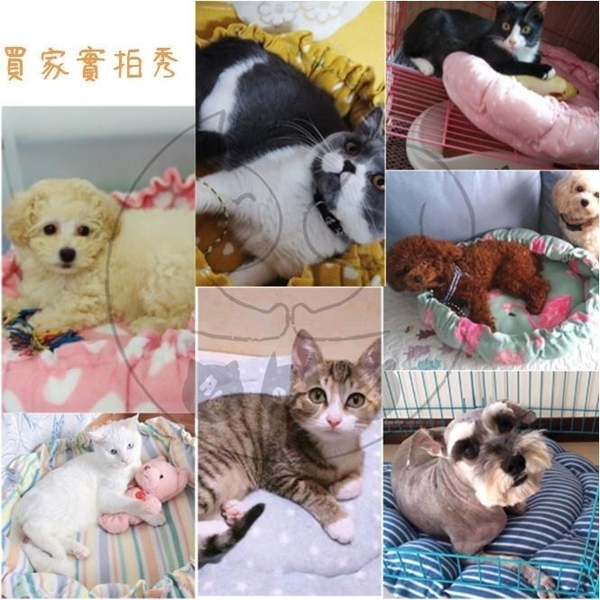 多咪多 現貨 南瓜窩 睡窩 寵物睡窩 狗睡窩 貓睡窩 寵物睡墊 狗睡墊 貓睡墊 南瓜睡窩 寵物床 寵物用品 寵物床-細節圖6