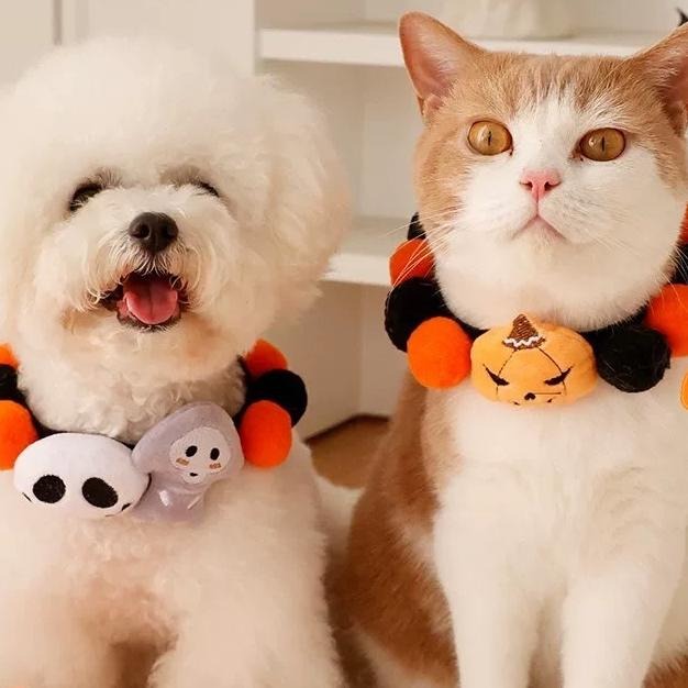 多咪多 現貨 萬聖節項圈 南瓜項圈 毛絨球項圈 球球項圈 貓咪項圈 狗狗項圈 寵物項圈 狗項圈 貓項圈 寵物配件 項圈-細節圖2