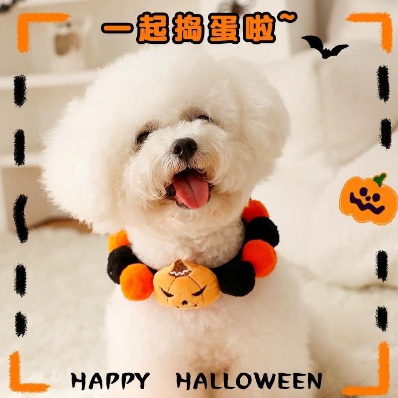 多咪多 現貨 萬聖節項圈 南瓜項圈 毛絨球項圈 球球項圈 貓咪項圈 狗狗項圈 寵物項圈 狗項圈 貓項圈 寵物配件 項圈-細節圖3