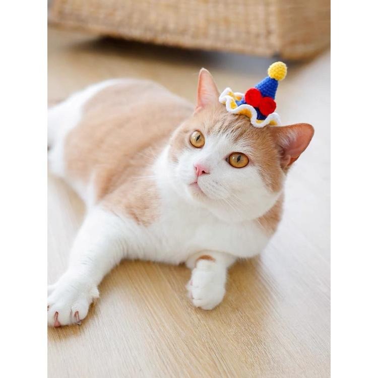 多咪多 立體髮夾 小花髮夾 小草髮夾 髮夾 貓髮夾 狗髮夾 寵物配件 帽子髮夾 兔耳朵-細節圖3