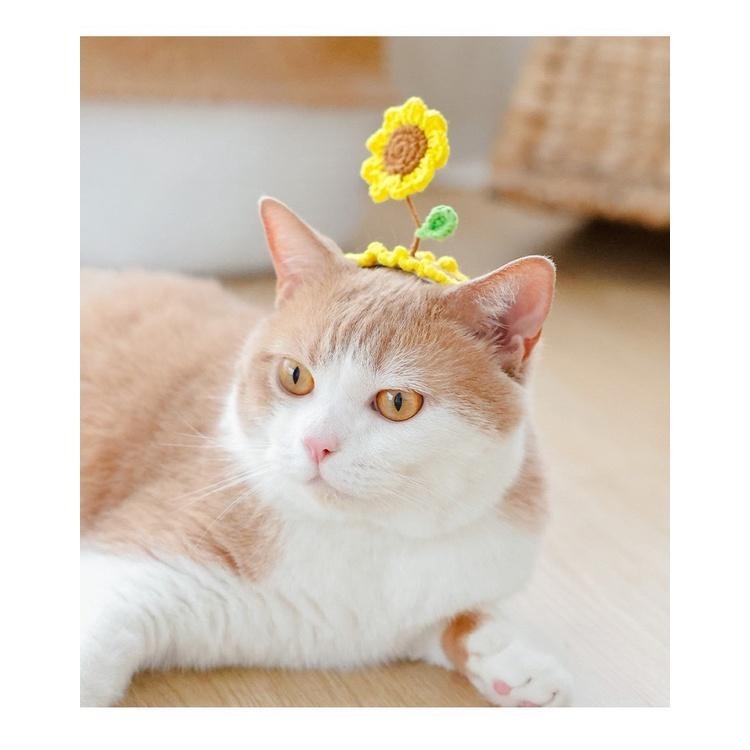 多咪多 立體髮夾 小花髮夾 小草髮夾 髮夾 貓髮夾 狗髮夾 寵物配件 帽子髮夾 兔耳朵-細節圖5
