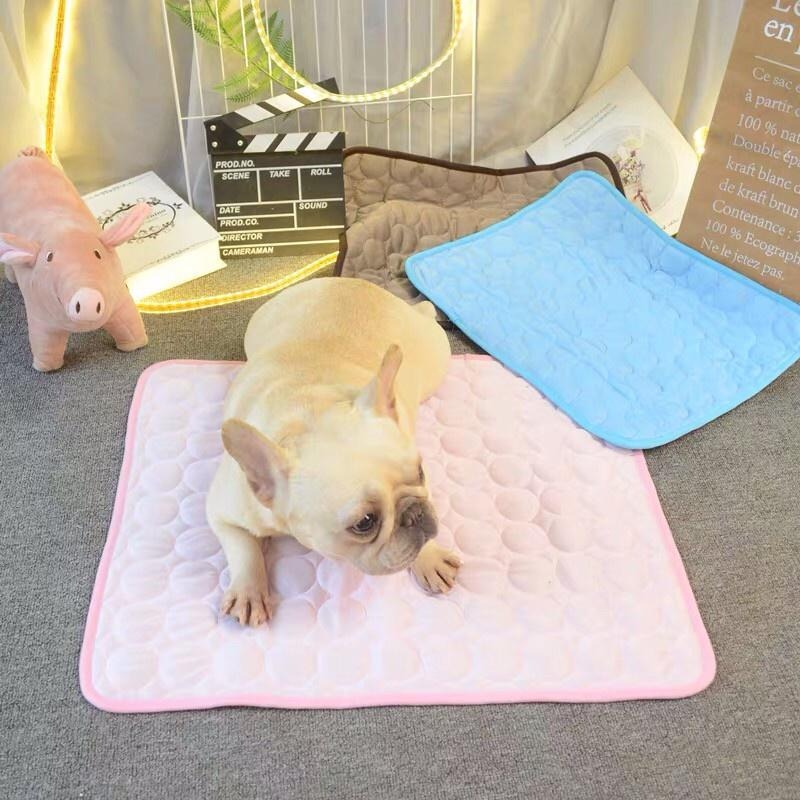 多咪多 現貨 涼感睡墊 COOLCORE 涼墊 涼感墊 寵物睡墊 貓睡墊 狗睡墊 降溫神器 冰墊 冰絲墊 涼感墊 涼墊-細節圖2