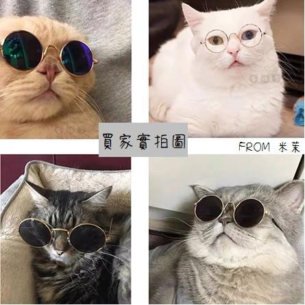 【多咪多】現貨 寵物眼鏡 貓咪墨鏡 狗墨鏡 寵物眼鏡 寵物項鍊  寵物變裝 貓咪配件 寵物配件 狗配件 拍照必備-細節圖2