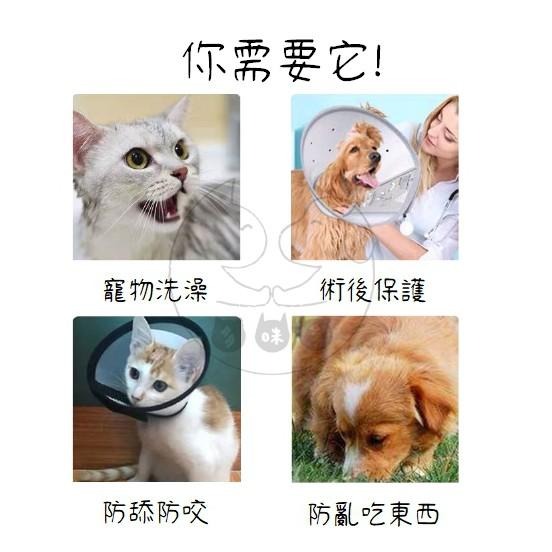 【多咪多】現貨 伊莉莎白頭套 黑邊透明頭套 寵物頭套 貓咪頭套 貓頭套 狗頭套 防護圈 寵物防護套 防舔 防咬 防抓-細節圖2