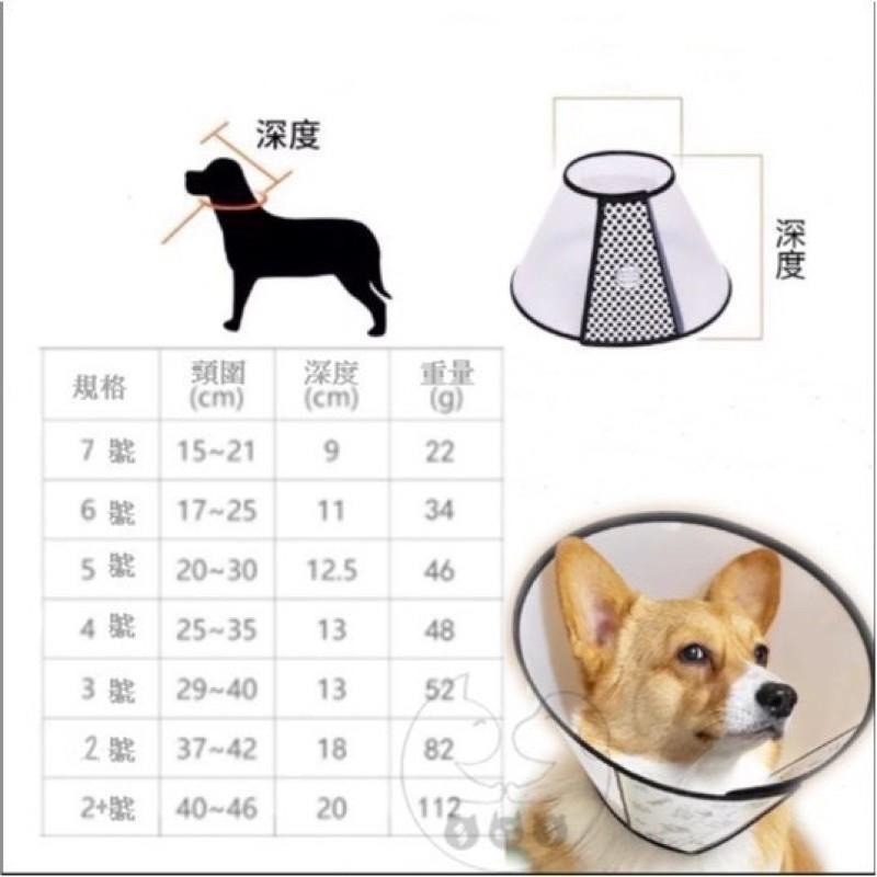 【多咪多】現貨 伊莉莎白頭套 黑邊透明頭套 寵物頭套 貓咪頭套 貓頭套 狗頭套 防護圈 寵物防護套 防舔 防咬 防抓-細節圖5