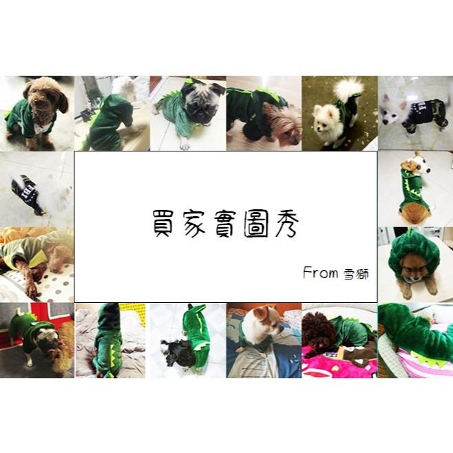 【多咪多】台現貨 寵物恐龍衣 秋冬寵物衣 狗衣服 貓衣 寵物衣服 寵物服飾 寵物用品 造型衣服 恐龍寵物衣 寵物衣-細節圖6