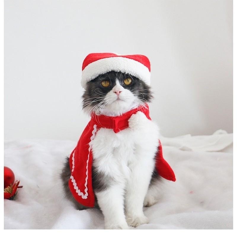 多咪多 台現貨🎅🏻寵物聖誕套裝🎄 聖誕帽 寵物聖誕 寵物變裝 寵物配件 寵物衣服 寵物服 耶誕節 聖誕圍巾 耶誕帽 聖誕-細節圖7