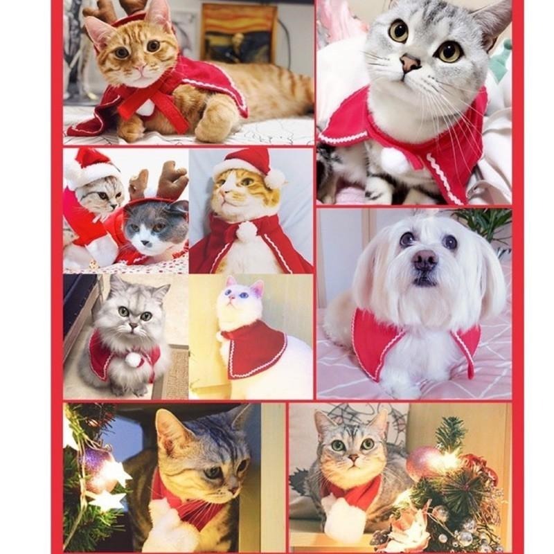 多咪多 台現貨🎅🏻寵物聖誕套裝🎄 聖誕帽 寵物聖誕 寵物變裝 寵物配件 寵物衣服 寵物服 耶誕節 聖誕圍巾 耶誕帽 聖誕-細節圖9