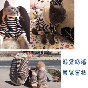 【多咪多】現貨 寵物條紋帽T 寵物條紋衣 寵物服飾 寵物衣服 狗衣服 貓衣服 條紋衣服 寵物帽T-細節圖4