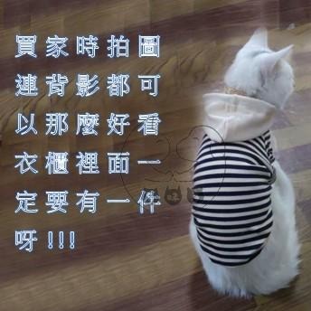 【多咪多】現貨 寵物條紋帽T 寵物條紋衣 寵物服飾 寵物衣服 狗衣服 貓衣服 條紋衣服 寵物帽T-細節圖5