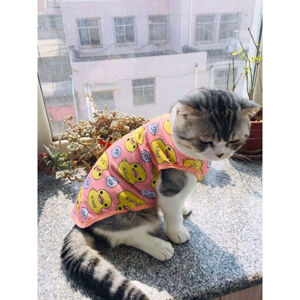 多咪多 0碼出清 寵物背心 鴨子背心 春夏背心 寵物服飾 狗衣服 貓衣服 寵物透氣衣服 寵物衣服 兩腳衣 貓 狗 衣服-細節圖2
