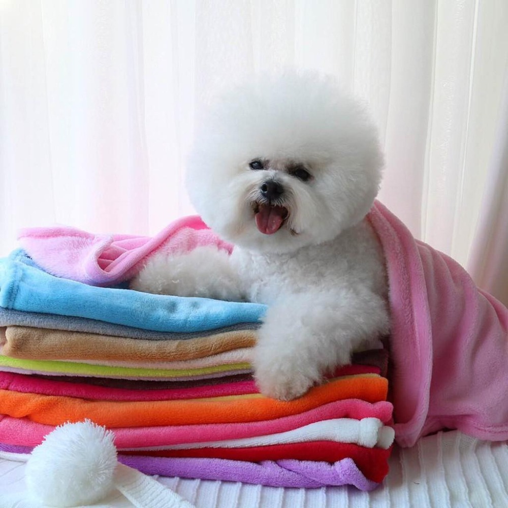 【多咪多】秋冬經典珊瑚絨保暖毯/素色毯/毛毯/寵物保暖/珊瑚毯/睡毯/寵物毛毯/狗狗毯/貓毯/被子/睡毯/冷氣毯-細節圖5