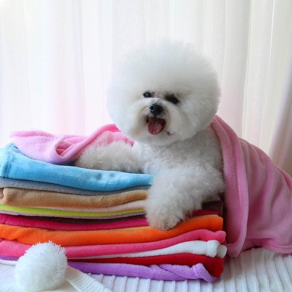 【多咪多】秋冬經典珊瑚絨保暖毯/素色毯/毛毯/寵物保暖/珊瑚毯/睡毯/寵物毛毯/狗狗毯/貓毯/被子/睡毯/冷氣毯-細節圖5