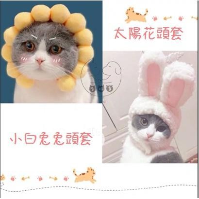 【多咪多】現貨 動物造型頭套 貓咪頭套 狗頭套 兔子頭套 兔子帽 寵物帽  寵物頭套 寵物配件 兔耳帽 老虎 鯊魚-細節圖2