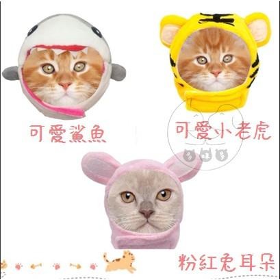 【多咪多】現貨 動物造型頭套 貓咪頭套 狗頭套 兔子頭套 兔子帽 寵物帽  寵物頭套 寵物配件 兔耳帽 老虎 鯊魚-細節圖3