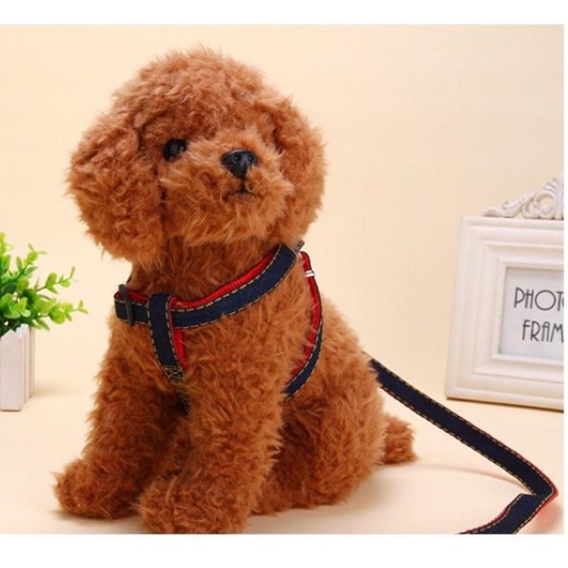 【多咪多】現貨 寵物胸背牽繩 牛仔胸背衣+牽繩 寵物胸背衣 貓 狗 牽繩 胸背帶 牽引繩 寵物牽繩 日系牽繩 工字牽繩-細節圖8