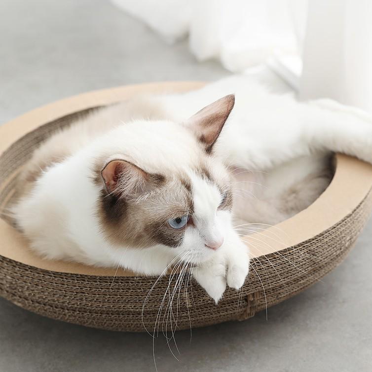 【多咪多】碗型貓抓板 附貓草 貓抓板 貓窩 紙箱窩 貓磨爪 貓抓窩 圓形貓抓板 圓盤型瓦楞紙 貓咪玩具 貓玩具 寵物用品-細節圖2