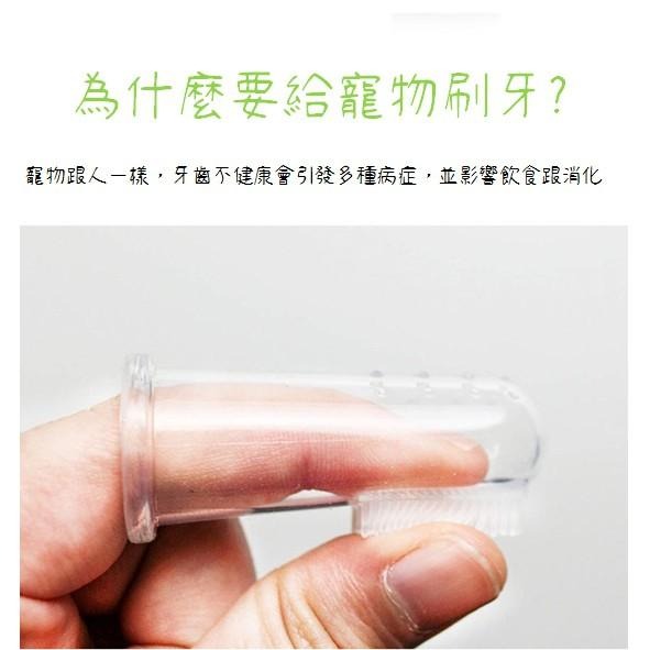 【多咪多】寵物指套牙刷 潔牙 矽膠牙刷 除口臭 牙齒清潔 口腔按摩 潔牙刷牙 狗牙刷 貓牙刷 指套牙刷 貓刷牙 狗刷牙-細節圖2