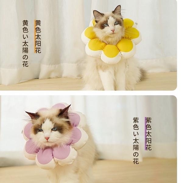 多咪多現貨 伊莉莎白頭套 太陽花頭套 小花頭套 防水頭套 寵物防咬 寵物頭套 寵物用品 寵物防舔 狗頭套 貓頭套-細節圖3