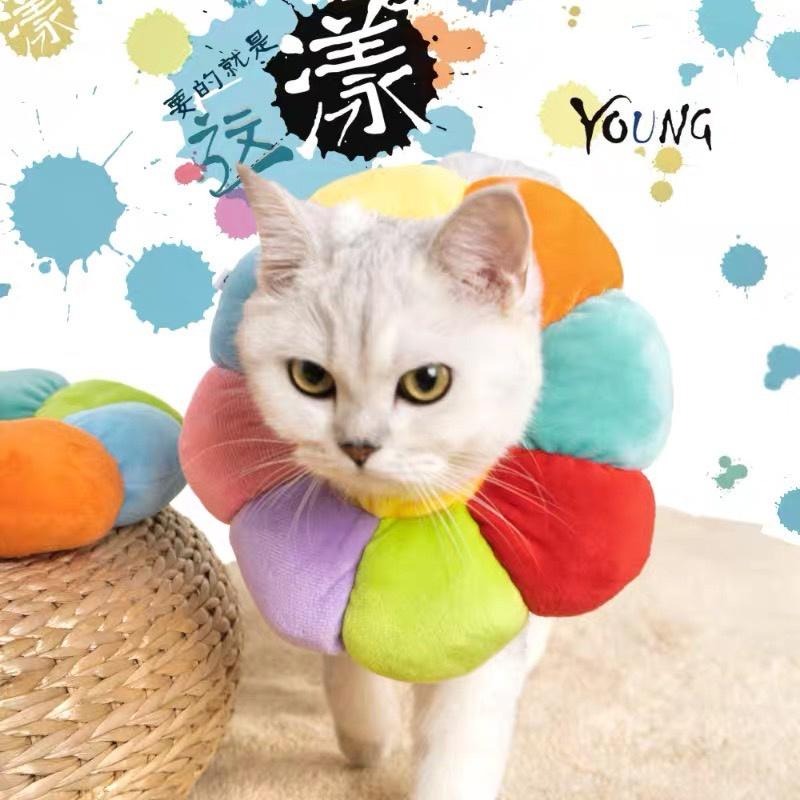 多咪多現貨 伊莉莎白頭套 太陽花頭套 小花頭套 防水頭套 寵物防咬 寵物頭套 寵物用品 寵物防舔 狗頭套 貓頭套-細節圖4