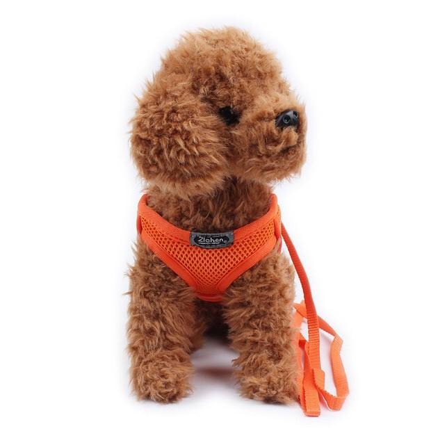 多咪多 最低價 送牽繩 帆布胸背帶 寵物外出 寵物胸背衣 牽引繩 寵物牽繩 寵物項圈 寵物用品 狗外出 貓咪外出 遛貓-細節圖7