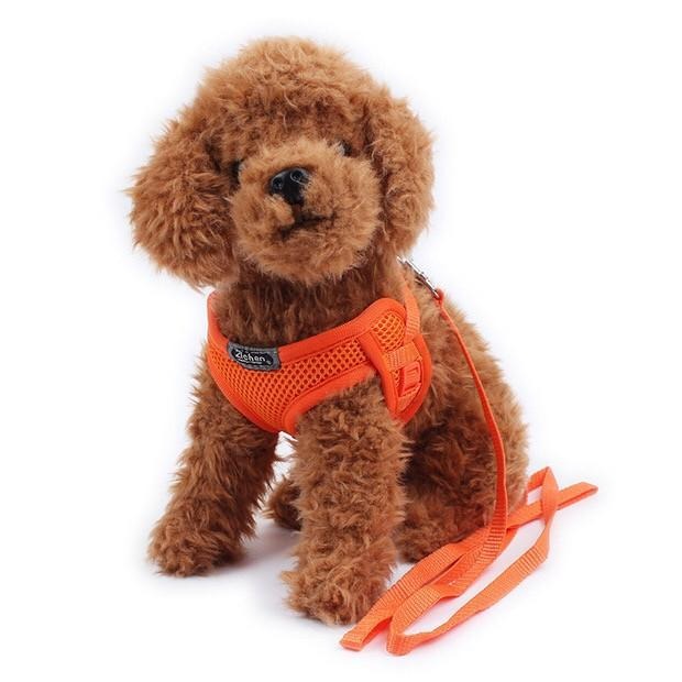 多咪多 最低價 送牽繩 帆布胸背帶 寵物外出 寵物胸背衣 牽引繩 寵物牽繩 寵物項圈 寵物用品 狗外出 貓咪外出 遛貓-細節圖8