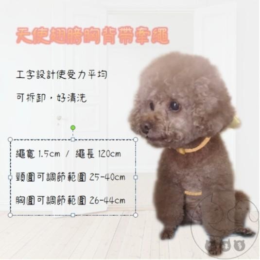 【多咪多】天使翅膀胸背帶牽繩 寵物牽繩 寵物用品 天使翅膀 狗牽繩 貓牽繩 胸背帶 寵物胸背 工自牽繩 寵物配件-細節圖3