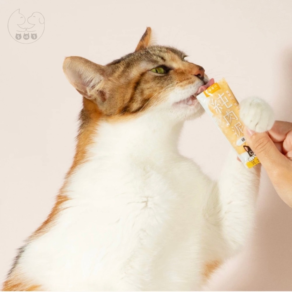 【多咪多寵物】汪喵星球 無膠純肉泥 汪喵肉泥 貓零食 貓肉泥 肉泥 貓泥 貓咪零食 寵物零食 肉泥條 貓咪點心-細節圖6