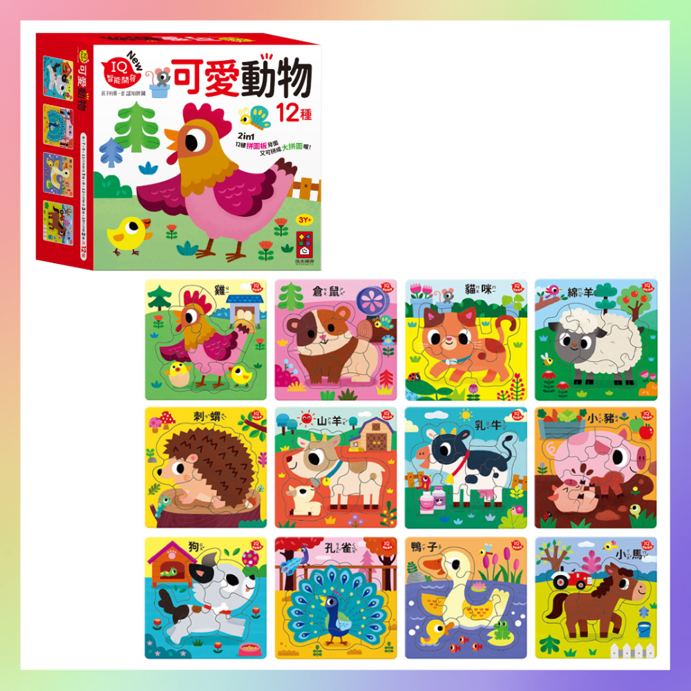 第一套認知拼圖-規格圖4