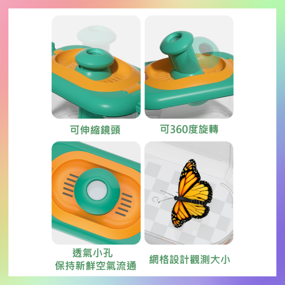 昆蟲箱觀察組-細節圖3