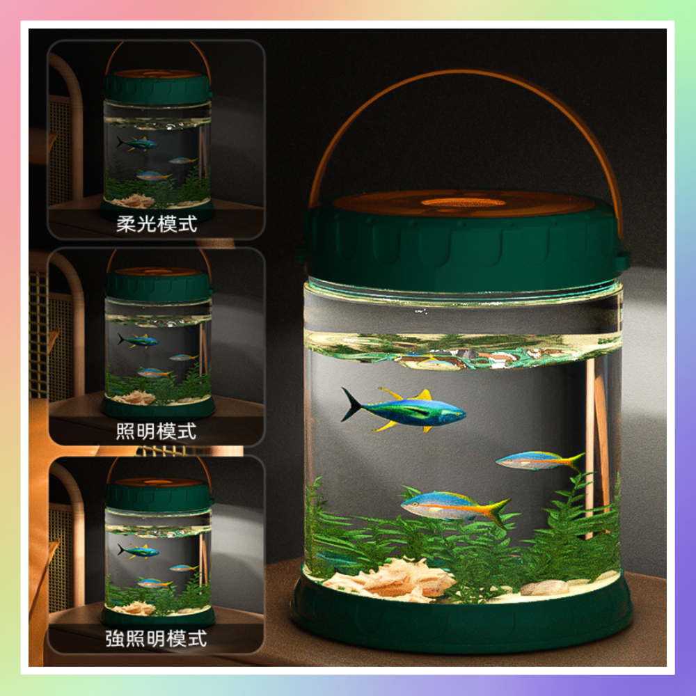 水族箱觀察組-細節圖4