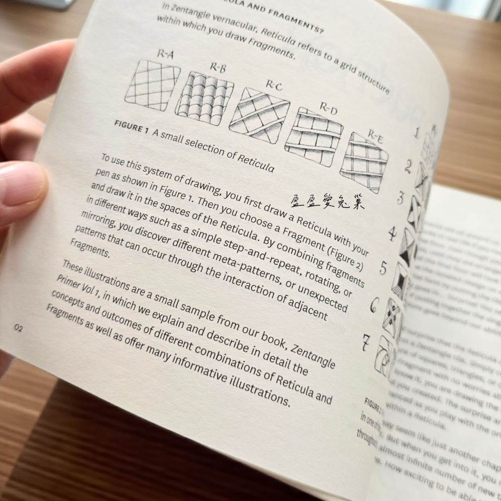 【盈盈愛兔巢】禪繞畫書籍｜官方原文｜Reticula and Fragments Book｜書網絡與片段技巧｜進階適用-細節圖2