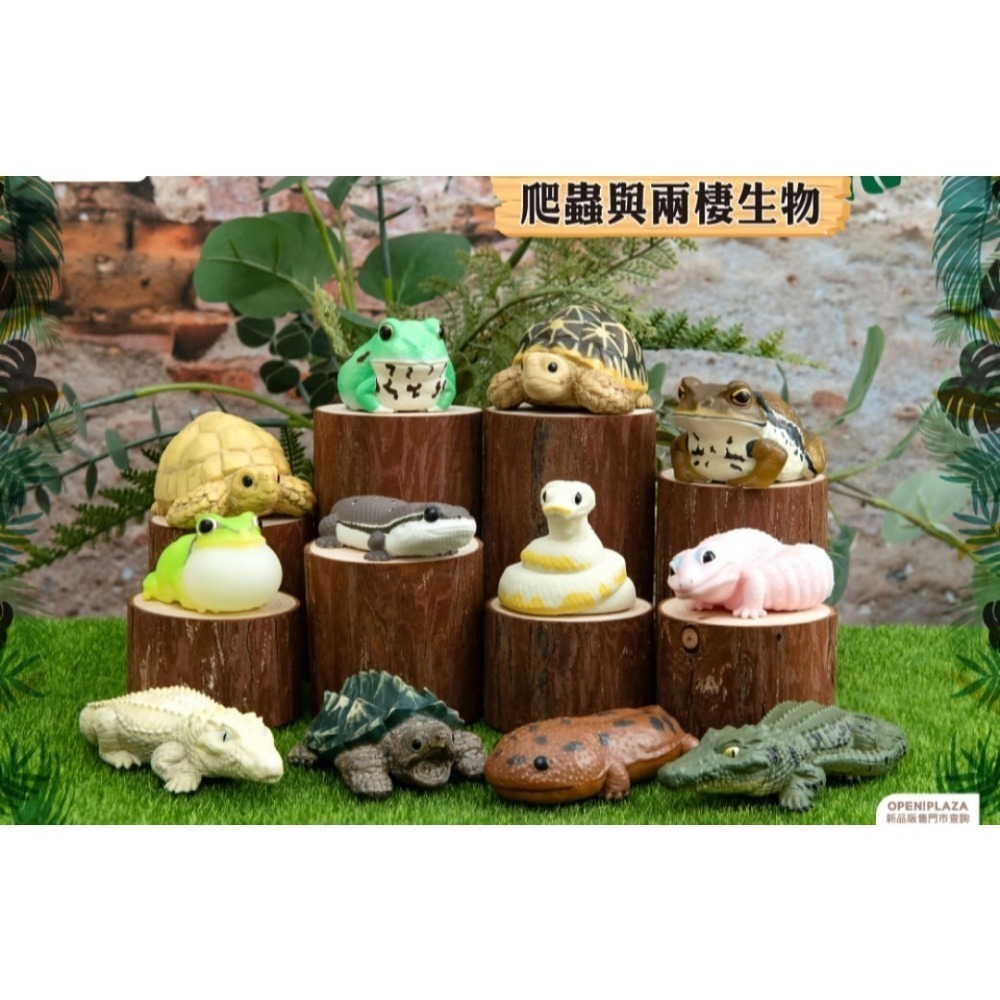 掌上好朋友軟膠 爬蟲與兩棲生物-細節圖2