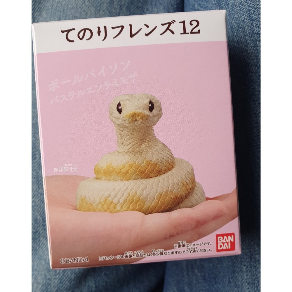掌上好朋友軟膠 爬蟲與兩棲生物-規格圖2