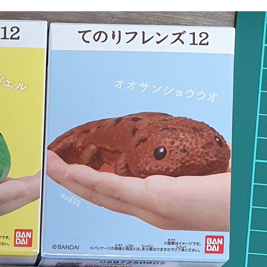 掌上好朋友軟膠 爬蟲與兩棲生物-規格圖2