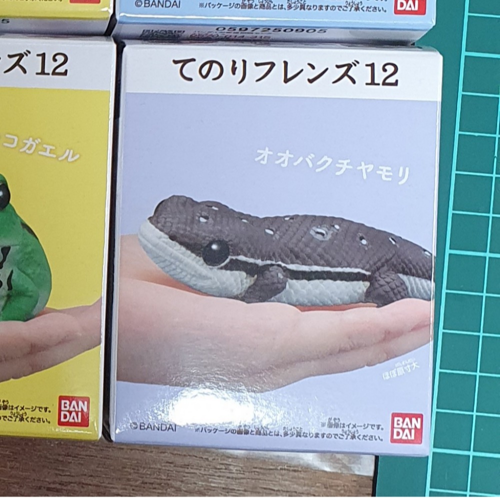11號