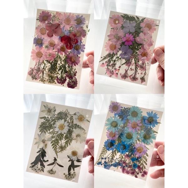 CH.CANDLE 超美押花 壓花 乾燥花 蠟燭 火漆 UV膠 押花蠟燭 乾燥花蠟燭 蠟燭裝飾-細節圖3