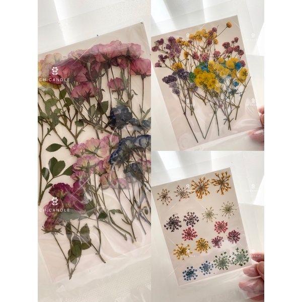 CH.CANDLE  新款 壓花 蕾絲花 滿天星 帶枝迷你玫瑰 乾燥花 押花 火漆 封蠟 蠟燭 都適用-細節圖2