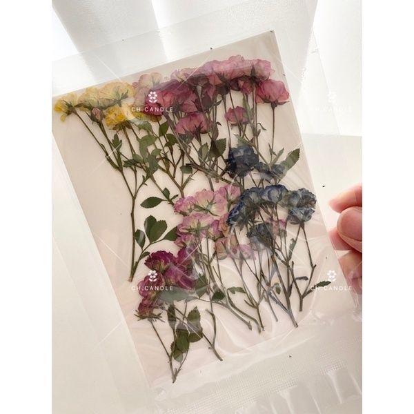 CH.CANDLE  新款 壓花 蕾絲花 滿天星 帶枝迷你玫瑰 乾燥花 押花 火漆 封蠟 蠟燭 都適用-細節圖3