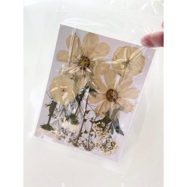 CH.CANDLE 奶茶色系乾燥花 壓花 押花 香氛蠟燭 蠟燭裝飾 乾燥花蠟燭 押花蠟燭-細節圖2