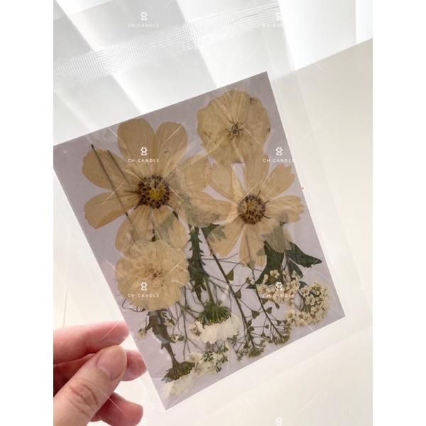 CH.CANDLE 奶茶色系乾燥花 壓花 押花 香氛蠟燭 蠟燭裝飾 乾燥花蠟燭 押花蠟燭-細節圖3