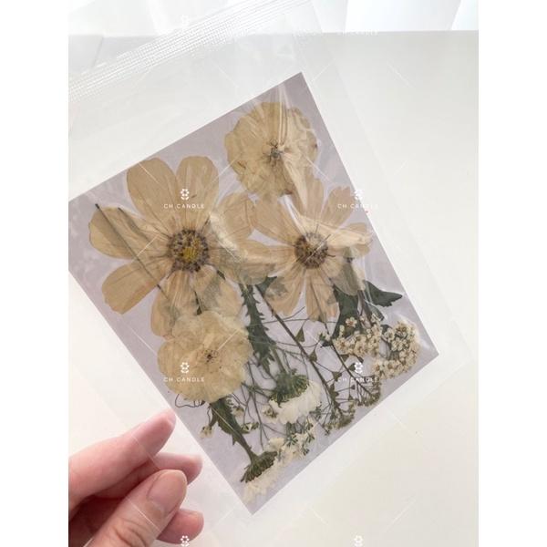 CH.CANDLE 奶茶色系乾燥花 壓花 押花 香氛蠟燭 蠟燭裝飾 乾燥花蠟燭 押花蠟燭-細節圖4