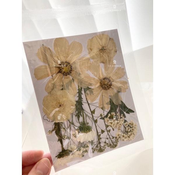 CH.CANDLE 奶茶色系乾燥花 壓花 押花 香氛蠟燭 蠟燭裝飾 乾燥花蠟燭 押花蠟燭-細節圖5