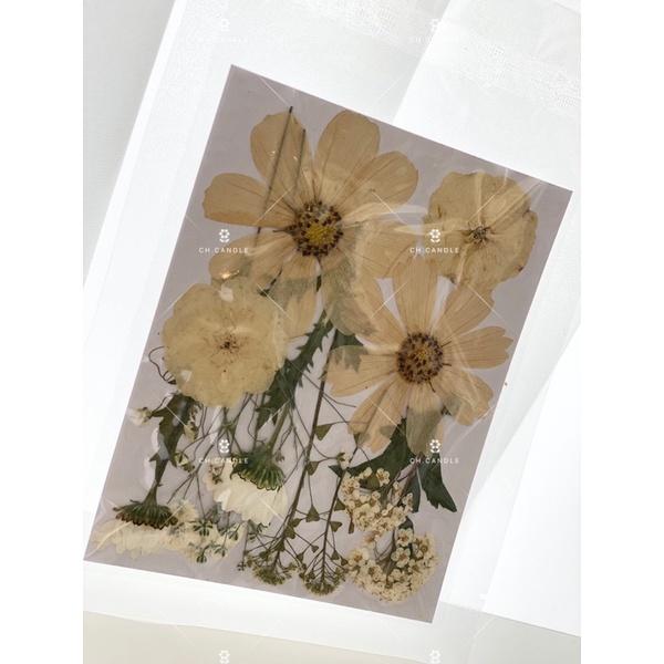 CH.CANDLE 奶茶色系乾燥花 壓花 押花 香氛蠟燭 蠟燭裝飾 乾燥花蠟燭 押花蠟燭-細節圖6