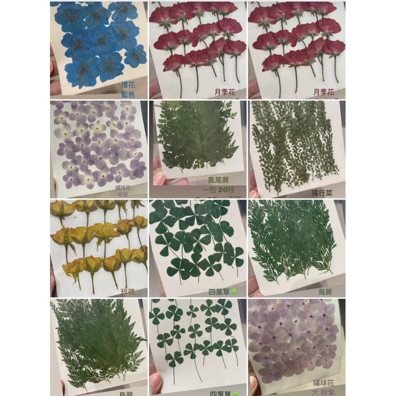 CH.CANDLE 壓花 押花 乾燥花 香氛蠟燭 乾燥花蠟燭 壓花蠟燭-細節圖2